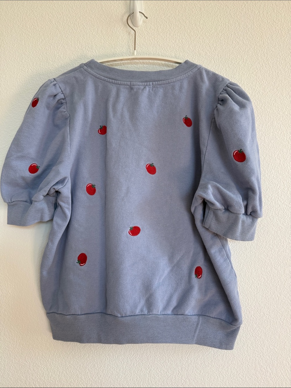Anthropologie Puff-Sleeve Sweatshirt with Embroidery - Picture 2 of 3